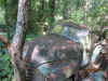 ChevyPU-1951Smith-AR.jpg (81682 bytes)