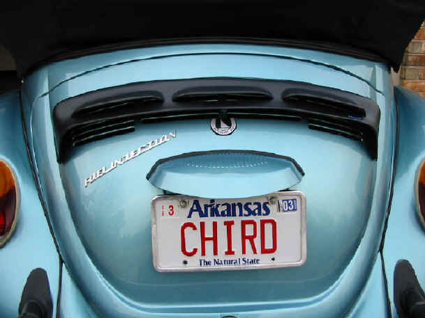 Chirds-79-RainDeflector.jpg (126961 bytes)