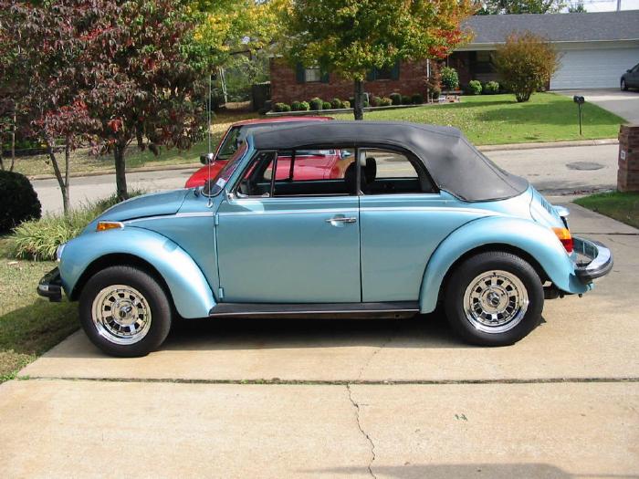 Chirds-79VW.jpg (78128 bytes)