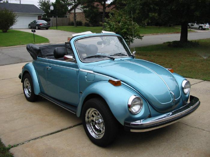 Chirds-79VWc.jpg (59724 bytes)