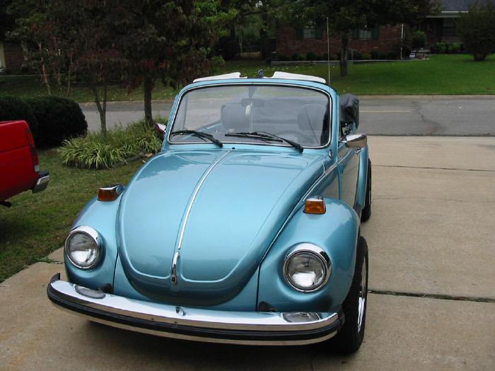 Chirds-79VWd.jpg (56332 bytes)