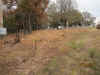 FostersChapelCem-FenceRow20101024l.JPG (366726 bytes)