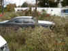 Pontiac-1966EddieRoss.jpg (210853 bytes)