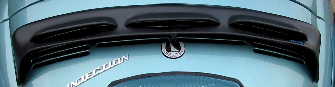VW-79RainDeflector.jpg (59932 bytes)