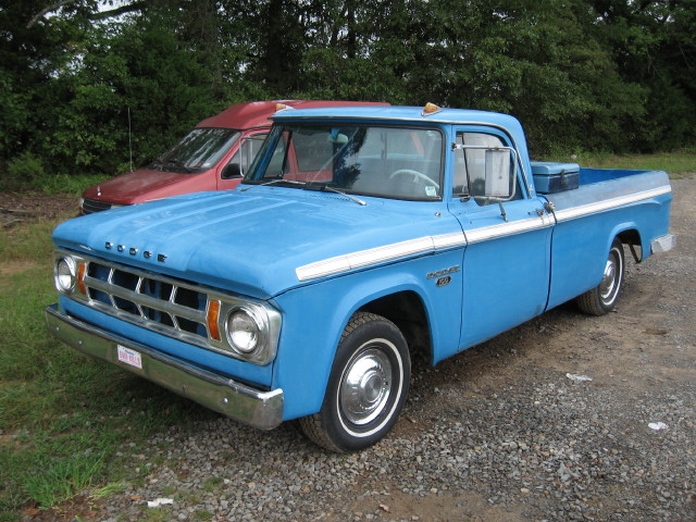 Dodge x 100